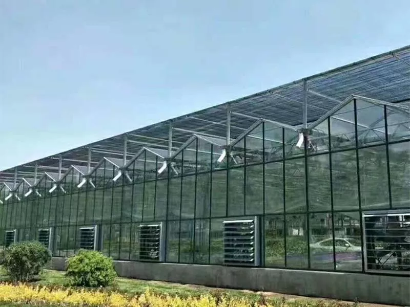 কি ইস্পাত উল্লম্ব খামার টেকসই কৃষির ভবিষ্যত করে তোলে?