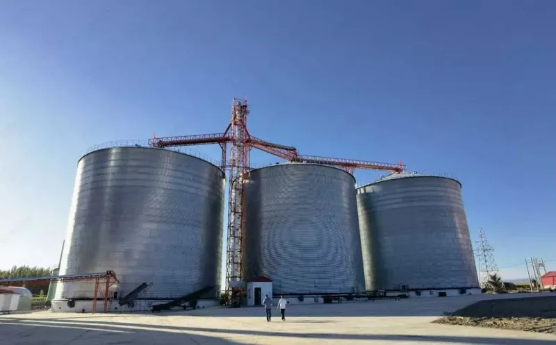 ইস্পাত কাঠামো শস্য Silo